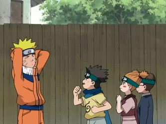 Naruto Complete Collection/Naruto/Naruto - 020 - A New Chapter Begins, The Chunin Exam!   [DarkDream].mkv